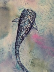 Hand Painted Whale Shark Original Watercolor Painting