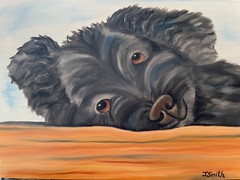 Original oil painting signed 11 x 14 inches black poodle dog