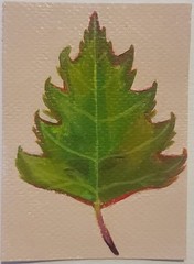 ACEO Original Abstract Silver Birch Tree Leaf Mini Art Painting Nature