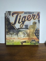Gemini Stephen Fowler Canvas Detroit Tigers Artwork Baseball Wall Decor