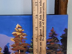 Vtg Paint By Number CABiN in the Woods near Water 20″x 16″ UNFRAMED Painting #1