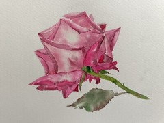 Flower France RED ROSE Original Artwork Hand Painted Floral Landscape ArtGift A5