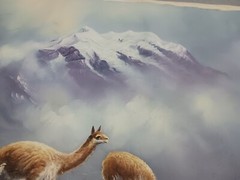 Original Oil Painting Signed & Dated Mountain Top & Lamas Not Mounted