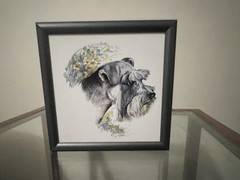 Framed Schnauzer Dog Artwork Realistic Pet Portrait Pewter Frame