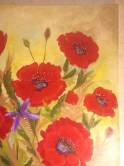 Original Acrylic Painting Red Poppy Flowers Dragonfly 16 x 20 large Canvas Art