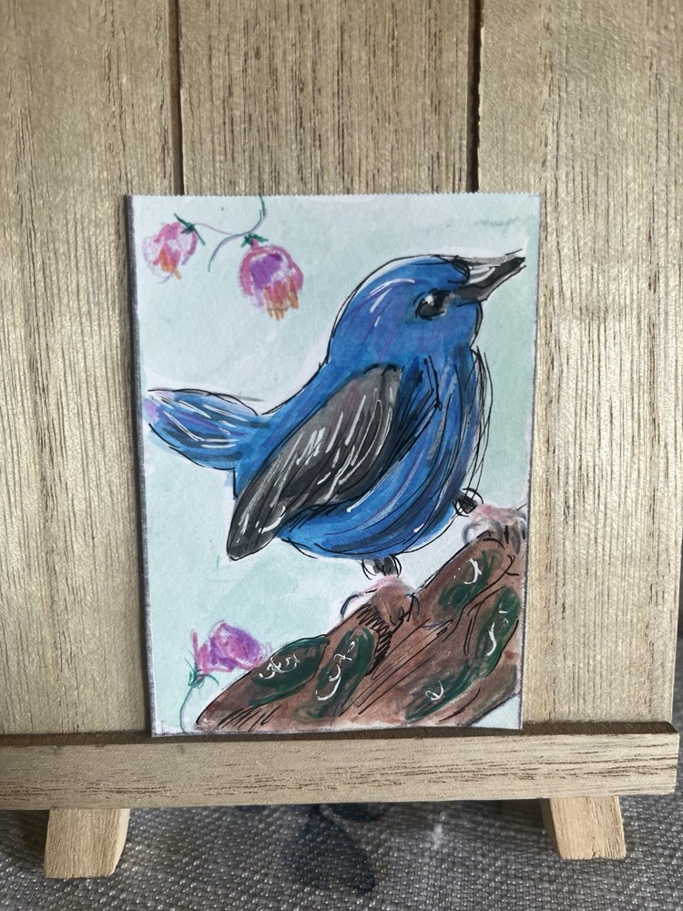 Original Superb Fairy Wren Bird Watercolor Series „Little Wren“ ACEO Art
