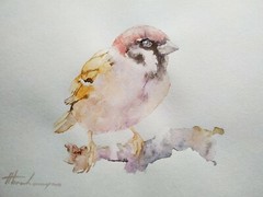 Tree Sparrow, Birds, Watercolor artwork, Handmade, Original painting on paper
