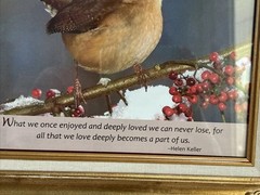 Vintage Ornate Gold Bird Art Frames Featuring Lovely Bird Prints & Quotes Set 2