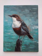 Original oil painting on canvas of the Dipper bird 15×20 cm Wall art