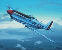 Original Raymond Waddey Painting Aviation Art US Air Force P51 Mustang Aircraft