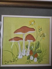 Vintage Mushrooms Watercolor Painting Signed Amie Hecht Cottage Fairy Whimsical