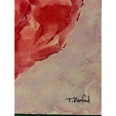 Hand painted watercolor original painting red, pink and green rose