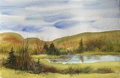 7X10” Original Watercolor Pamela Wilhelm Birds Above The Pond Pines Hills