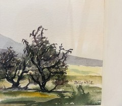 Original Watercolor Painting ‘Cholla’ By Molly Hale Matted & Framed 33”x 27”