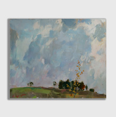 Oil painting Storm Ukrainian painter Canvas Decor Unframed original landscape