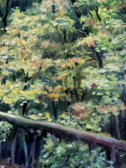 Michael Chausovsky „Park In Plano“ lPrinted Signed giclee CANVAS 24X20 Nature
