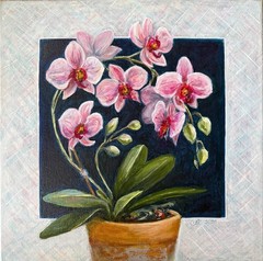 art 810 original acrylic painting Canvas 12×12 in Still Life Orchid flovers