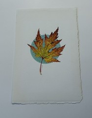 Original Painting Maple Leaf Fall Autumn Botanical By Gilliland Watercolor Mixed
