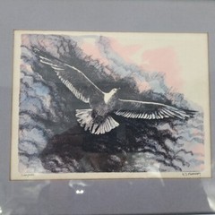Original Intaglio Robert Kennedy Seagull Signed Framed Matted 12×9 Nieleen Metal