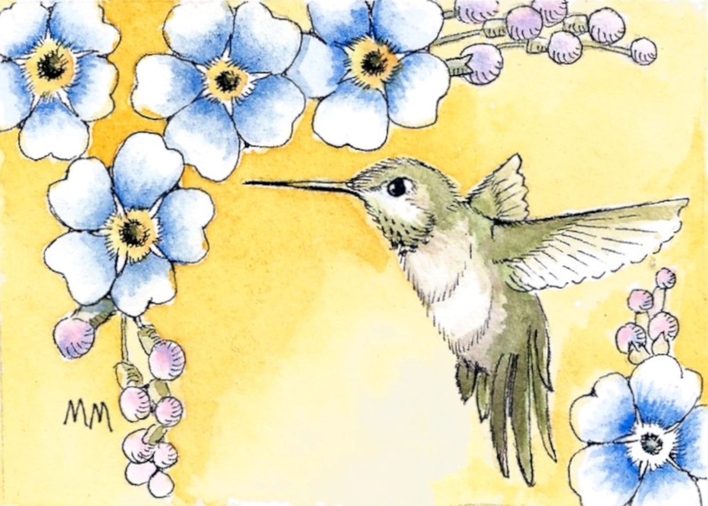 ACEO Limited Edition – Hummingbird with flowers print of Original watercolor