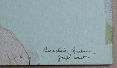 1954 CHESTER J. MAYER Painting WISCONSIN CALIFORNIA Listed – Barachois, Quebec