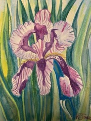 K C JONES Painting PURPLE IRIS Water-soluble Crayon Louisiana flower Art