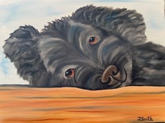 Original oil painting signed 11 x 14 inches black poodle dog