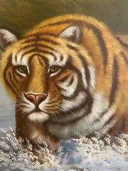 MAJESTIC BENGAL TIGER IN WATER PAINTING ART ON CANVAS BY M. AARON. 36″ X 24″