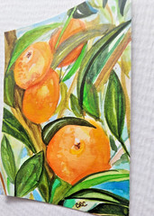ACEO original miniature watercolor Oranges hanging art by CRC