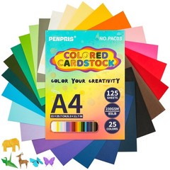Coloured A4 Cardboard, Heavy Cardboard Paper, 125 Sheets Cardboard for Cardmakers…