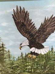 Bald Eagle Painting National Bird In Flight Over Trees Signed 9.5” X 8” Gallery