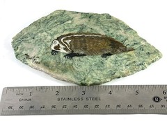 Hand Painted Badger on Natural Stone Slab Signed H Marty 1986 Wildlife 6×4”