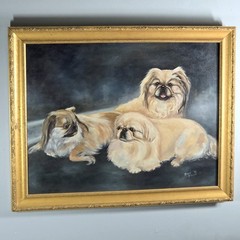 Large Original Oil Pekingese Dog Realism Framed & Signed 23 X 29