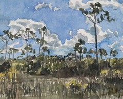 Everglades National Park III, FL / Orig. W/C / 10″H X 14″W / Mimi Davis, Artist