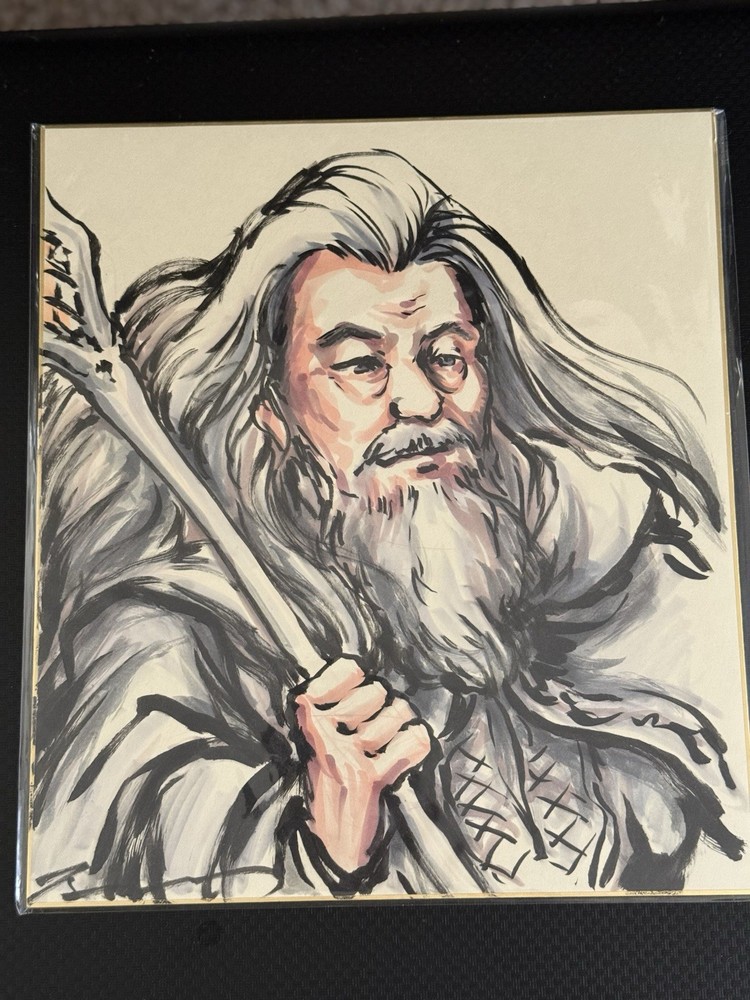 Pokémon Artist Midori Harada Gandalf Lord Of The Rings 1/1 Original Art Shikishi
