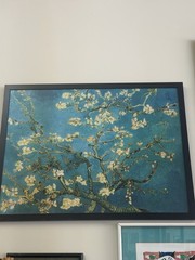 Almond Blossom Art