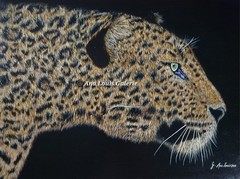 Golden Leopard „The Gaze of the Hunter“ Original Hand Painted Unique