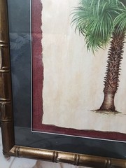 Carabe Palm l & li By Steve Butler Tropical Tree Contemporary (1970-2020)