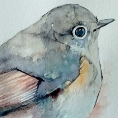 Fairy Wren, Birds, Watercolor artwork, Handmade, Original painting on paper