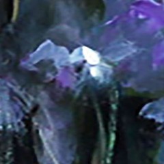 irises spring flowers Oil painting 8x12DEMENKO NATALIA