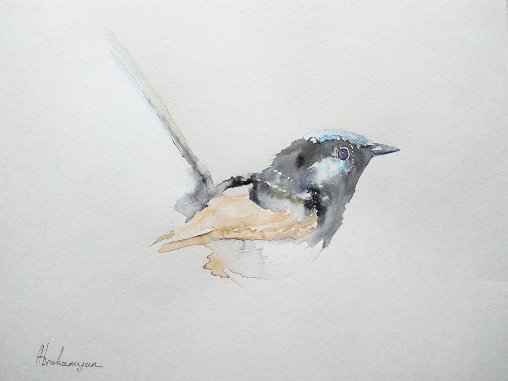 Fairy Wren Birds, Watercolor artwork, Handmade, Original painting on paper