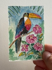 ACEO Original Watercolor Painting Tropical Bird Toucan By JMJager