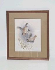 Steve Dillard Bobwhite Quail Signed Artist Proof AP 20/25 Framed Limited Print