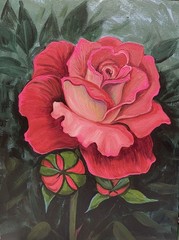 ACEO Print of painting Ryta art pink rose Garden Spring Flowers Botanical Decor
