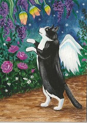 5×7 TUXEDO CAT PRINT OF PAINTING RAINBOW STARS FLOWERS GARDEN RYTA Art