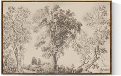 Vintage Tree Sketch Canvas Art – 24×36 Inch Neutral Wall Decor for Any Room