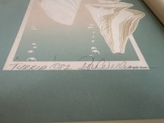 1982 Vintage Roy Williams Signed 3D Seashell Relief Wall Art Framed Set Of 3