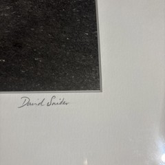 Signed By Artist David Snider 1991 Fine Art Print “Child In Water” Framed 18×14”