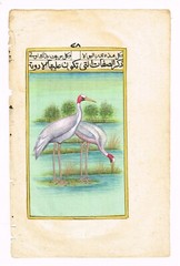 Indian Nature Art Painting Of Birds – Hand Miniature Birds Art 6.5×10.5 Inches