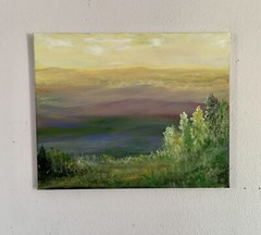 NEW LARGE LANDSCAPE OIL PAINTING 16x20inches OIL ON CANVAS BY GINA VANN